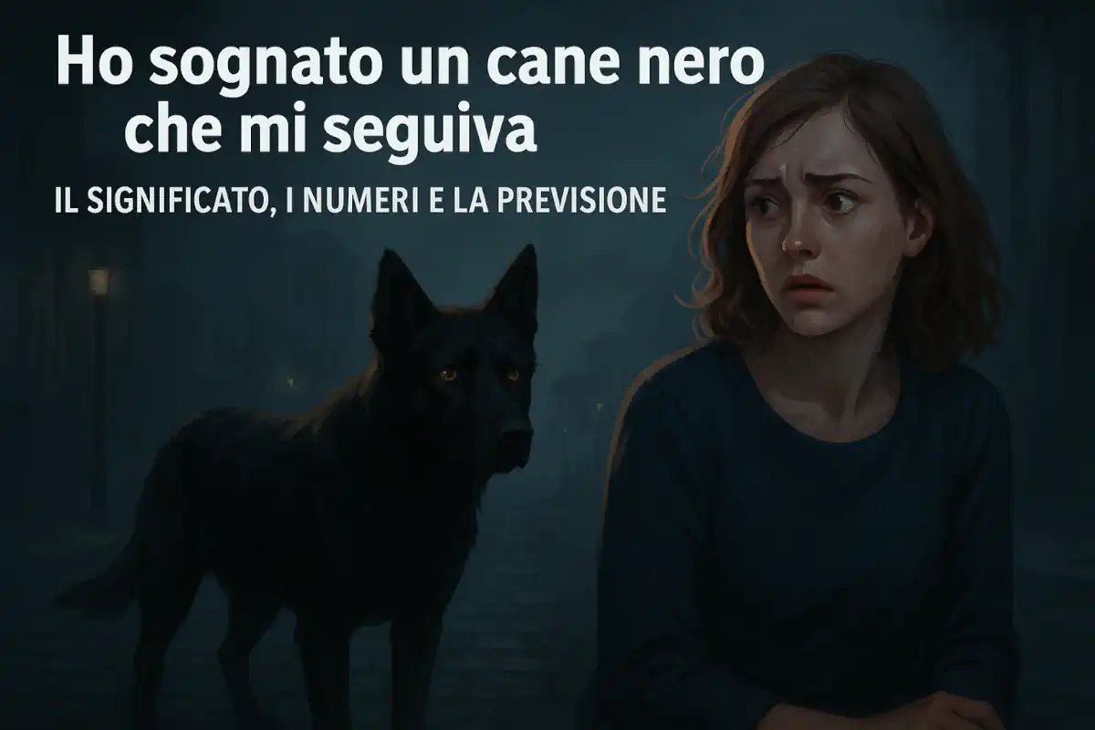 Ho sognato un cane nero che mi seguiva